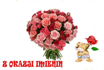 20e6101_2013.jpg