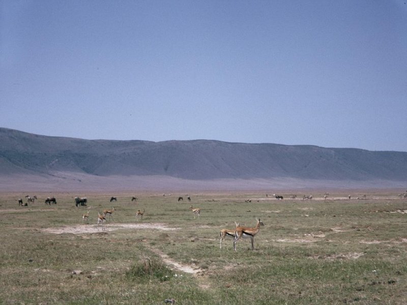 photo18.jpg