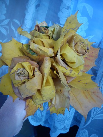 ABCD0008.JPG (1.07 MiB) Przejrzano 20155 razy Klonowe różyczki